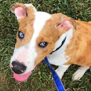 Meet your Posher, Lori